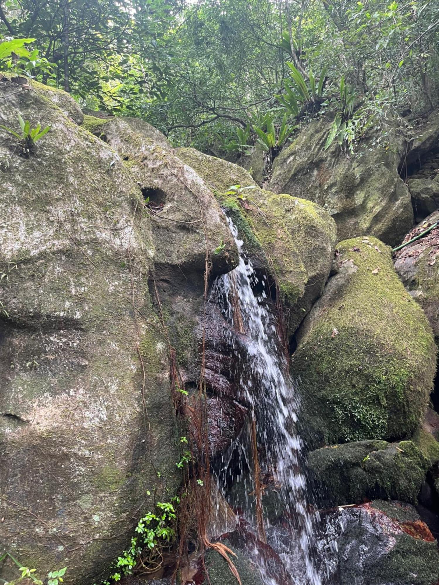 L Hippocampe Otel Maroantsetra Dış mekan fotoğraf